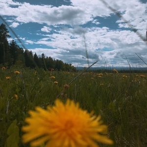 Meet your Posher, Renee